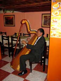 Angelic Harpist